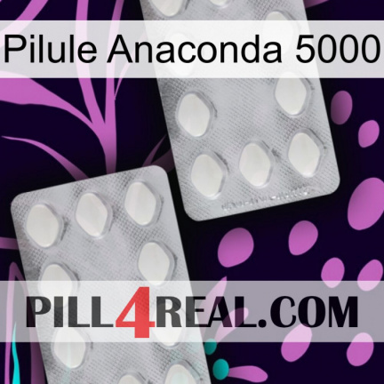 Anaconda 5000 Pill 17